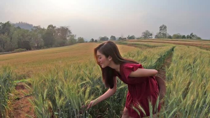 亚洲年轻女子喜欢旅游度假的大麦田生长在山上为现代农业和发展