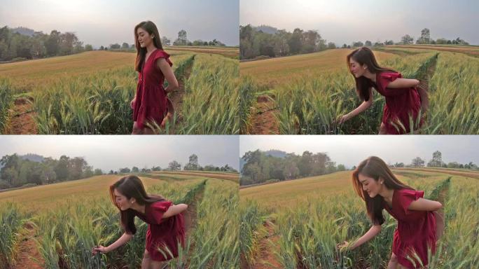 亚洲年轻女子喜欢旅游度假的大麦田生长在山上为现代农业和发展