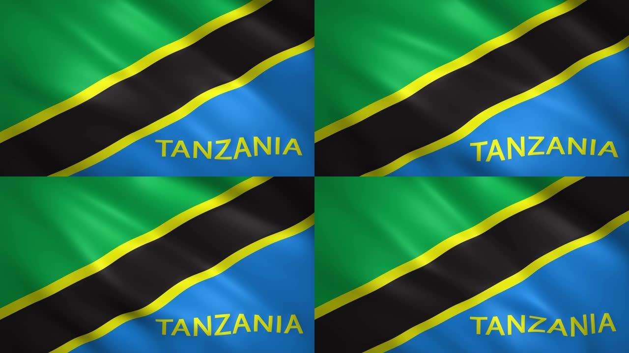 带有国家名称的坦桑尼亚国旗