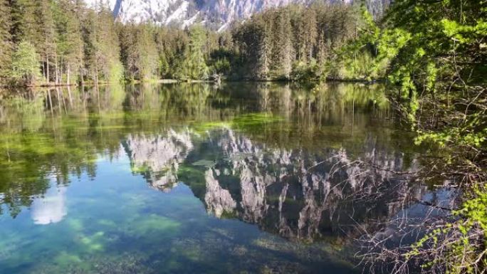 奥地利绿色湖温度气候湖水
