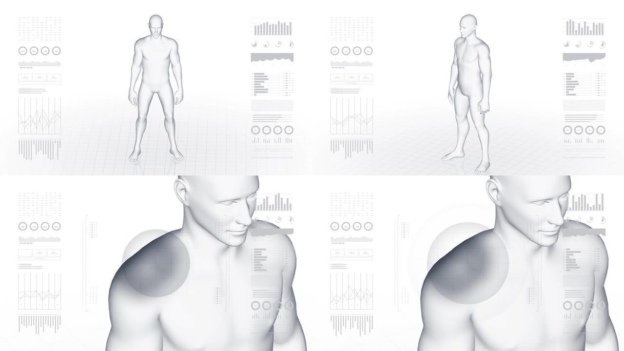 肩部病变的人。男孩的3d身体。男性人体结构的旋转动画和特写。4k镜头。