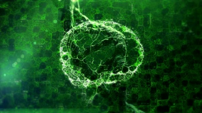 黑色背景上由绿色连接组成的DNA菌株和人脑的动画