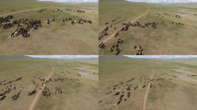 史诗般的马群在蒙古用无人机飞驰而出