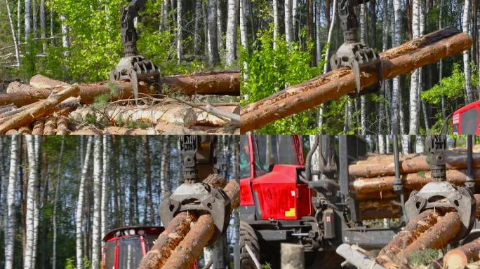木材装载，将原木装载到卡车中，木材加工，森林砍伐，用爪子装载木材