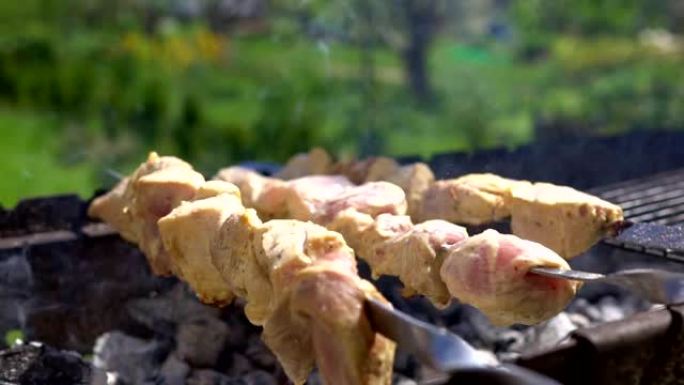 烧烤季节开放。后院的猪肉串。