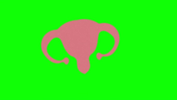 子宫手绘绿色屏幕。浮动循环动画