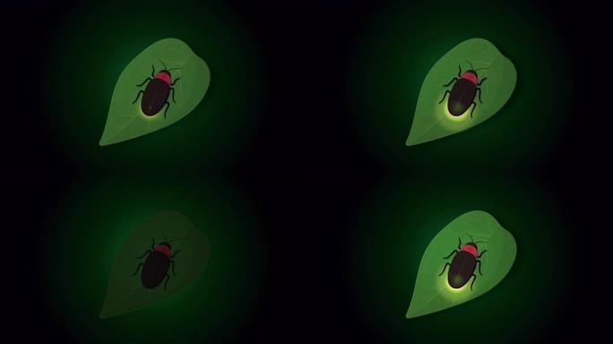 萤火虫生物发光动画