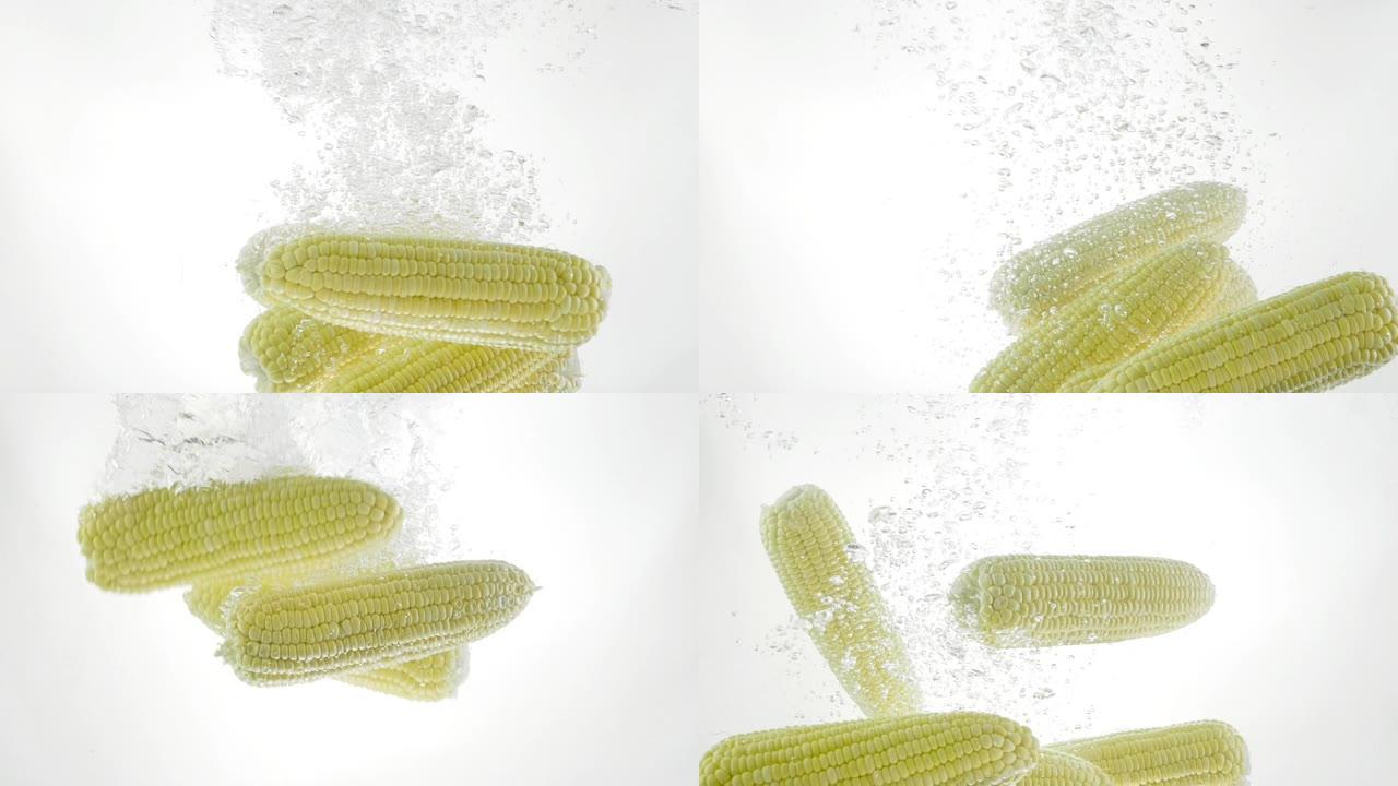 新鲜的甜玉米在慢动作的白色背景下落入水中，两枪