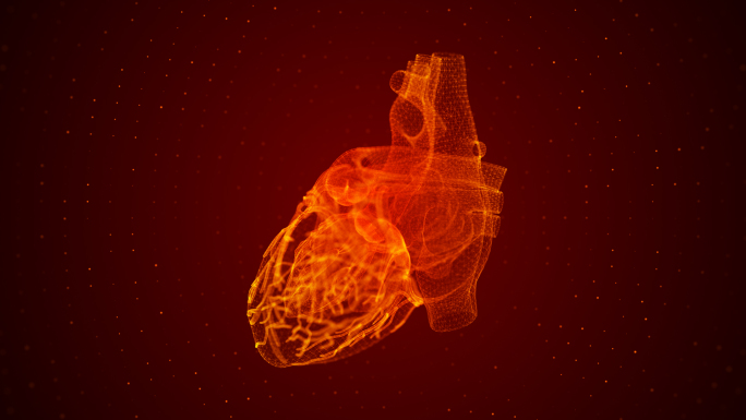 红色粒子科技心脏医学实验人体器官