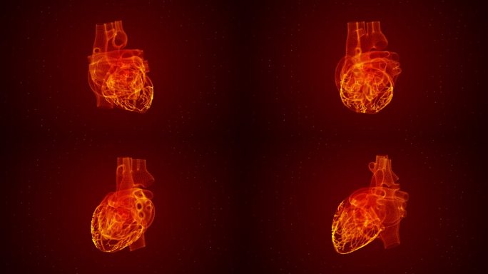 红色粒子科技心脏医学实验人体器官