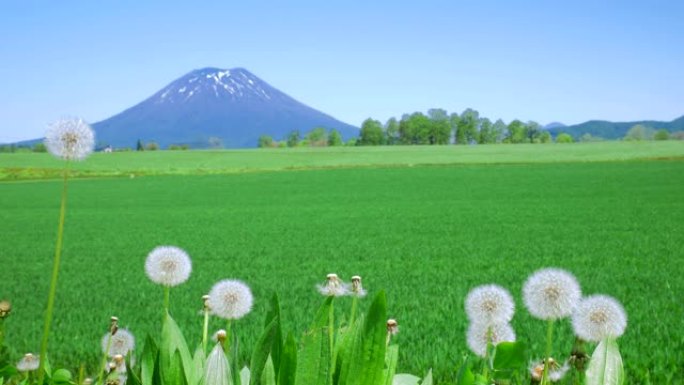 Yotei山 (北海道二世谷)