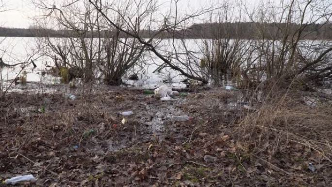 偶尔的垃圾场污染周围的自然环境，湖边的树林
