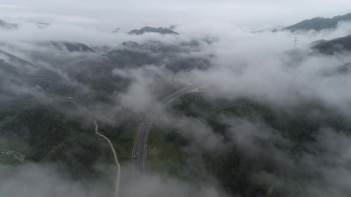 竹林在中国桂林大雾天气云彩飘扬冷风冷气