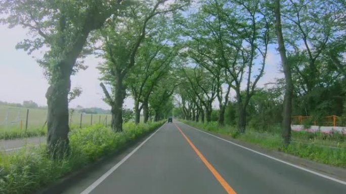 横滨郊区的道路，新鲜的绿色是美丽的