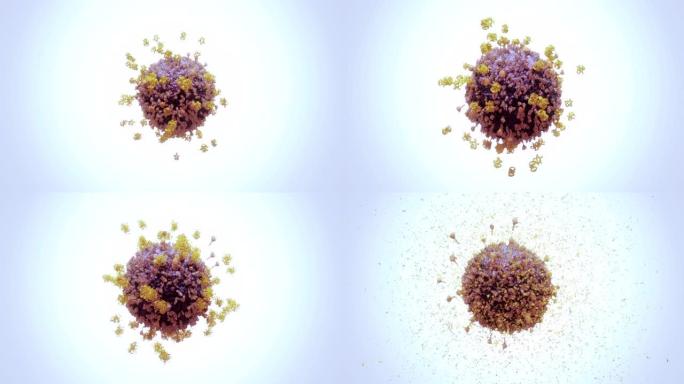 病毒细胞三维3D动画