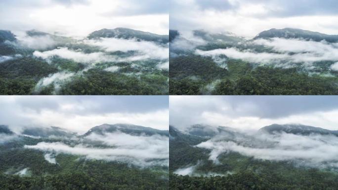 在云雾笼罩的丛林上空飞行