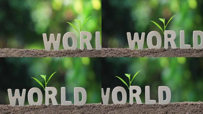 带有木制字母的 “世界” 一词。
