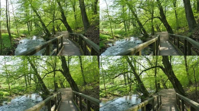 在森林中的一座桥上徒步旅行