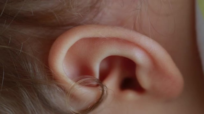 婴儿耳朵特写细节。幼儿耳朵宏特写