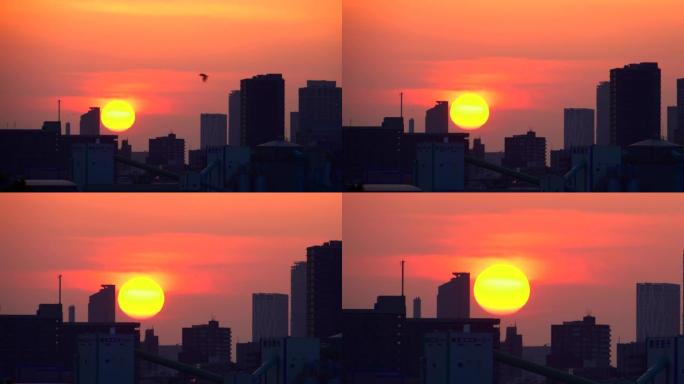 日落/延时时城市天际线的轮廓