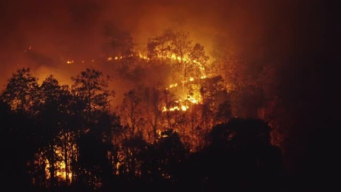 雨林火灾灾害是人为造成的燃烧