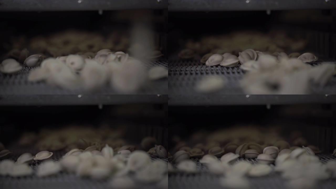 饺子厂自动机器生产过程的特写镜头。新鲜的生Pelmeni在传送带上移动。在食品工厂运行的工业机械。食