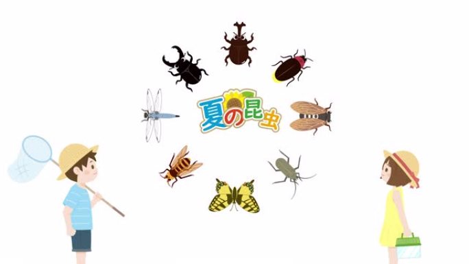 夏季昆虫动画