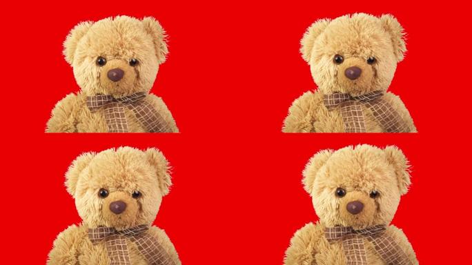 红色背景上的泰迪熊。运动中的儿童玩具。最喜欢的玩具