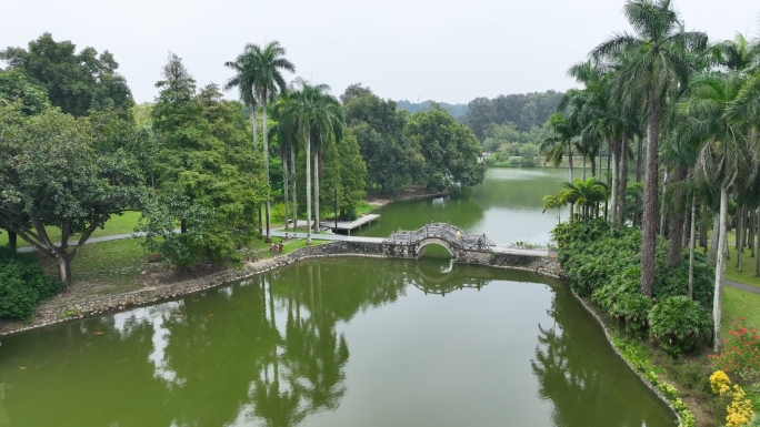 4K航拍华南植物园