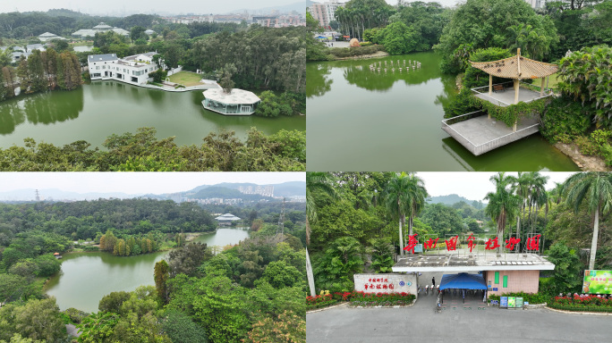 4K航拍华南植物园