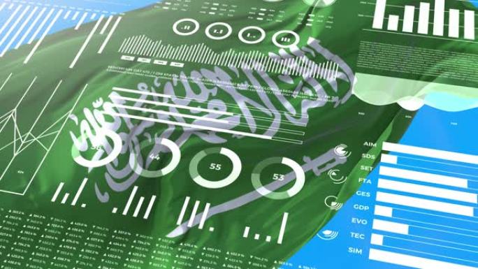 沙特阿拉伯信息分析报告和财务数据，信息图表显示带有标志，列号和饼图的动画。金融科学和医学。