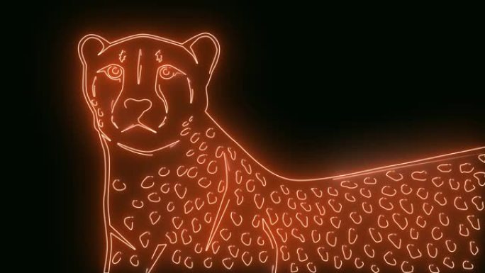 卡通野生非洲猎豹，黑色背景上带有霓虹灯的guepard。发光的野猫动画。野生动物，自然，猎豹标志。野