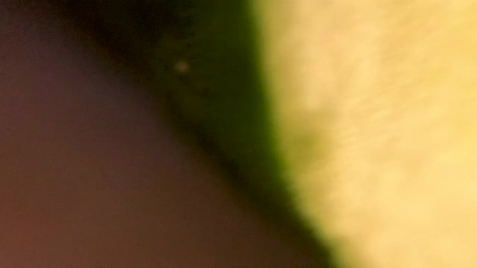 闪烁的特写宏观视图到黄瓜绿色蔬菜