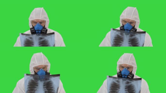 穿着白色危险品防护服的医生检查肺部x光在绿色屏幕上寻找流行病病毒，色度键