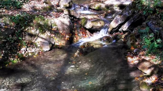 山泉水的源头从石头向下到底部，聚集在一个天然的小水池中。乌克兰喀尔巴阡山脉。Prores 422