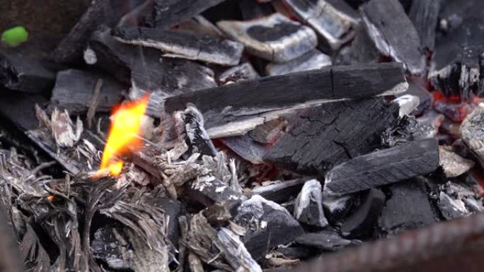 夏格里尔的火势特写。干燥的木棒闷气。烧烤烹饪的概念