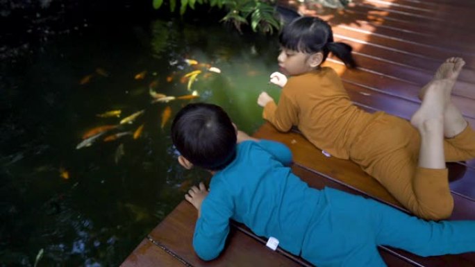 两个亚洲3-4岁的孩子检疫呆在家里，开心地微笑着在家里一起喂鱼。