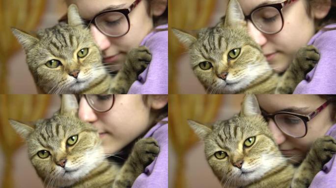 一个戴眼镜的年轻女子将猫压在她的脸上。英国品种猫拥抱一个女人。慢动作