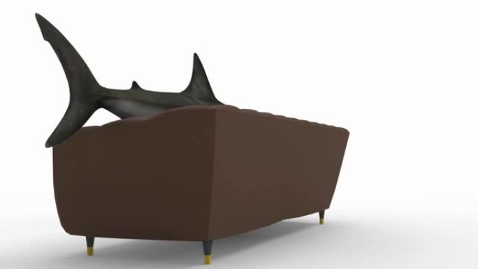 舒适的沙发。如果鲨鱼能做到，他会躺在上面