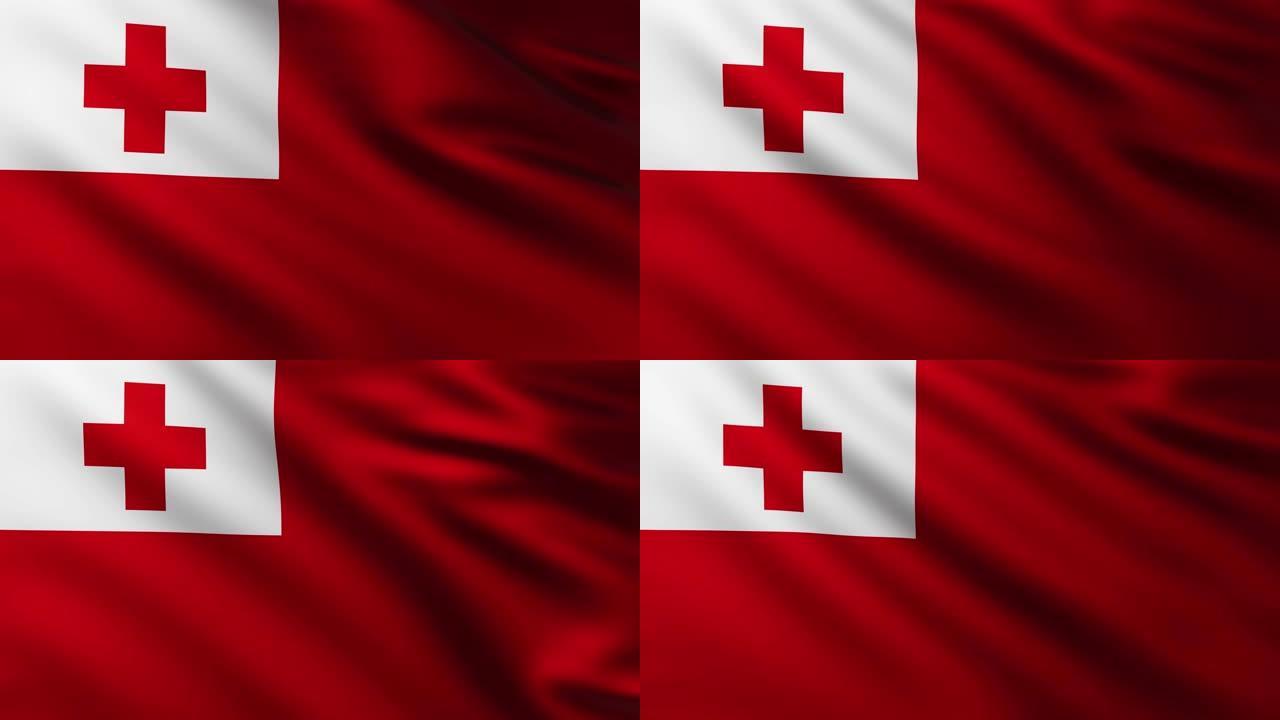 汤加群岛的大旗帜全屏背景在风中飘扬
