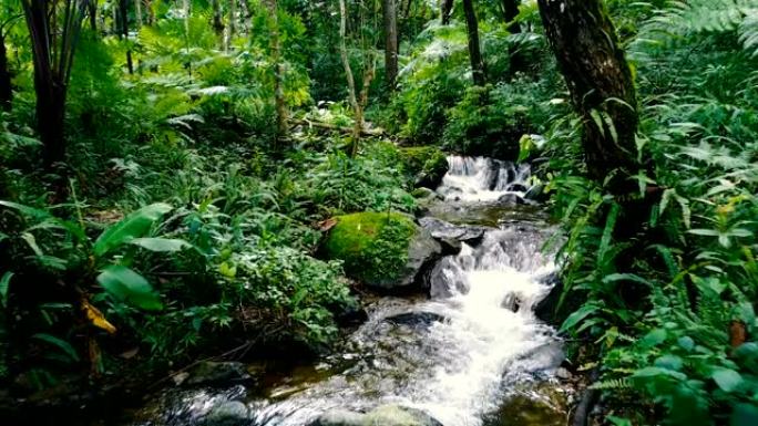 无人机航拍方式接近热带瀑布，美丽的雨林小溪，瀑布和鸟声，为泰国北部的冥想氛围。