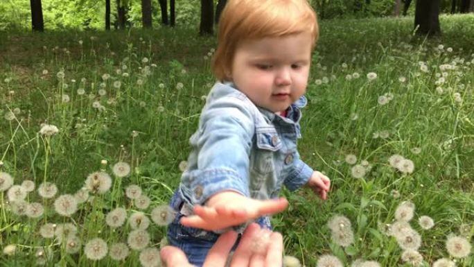 小女婴女儿拉了一根蒲公英，在户外给父亲父亲，在草地上的大自然。肖像，脸。4k。