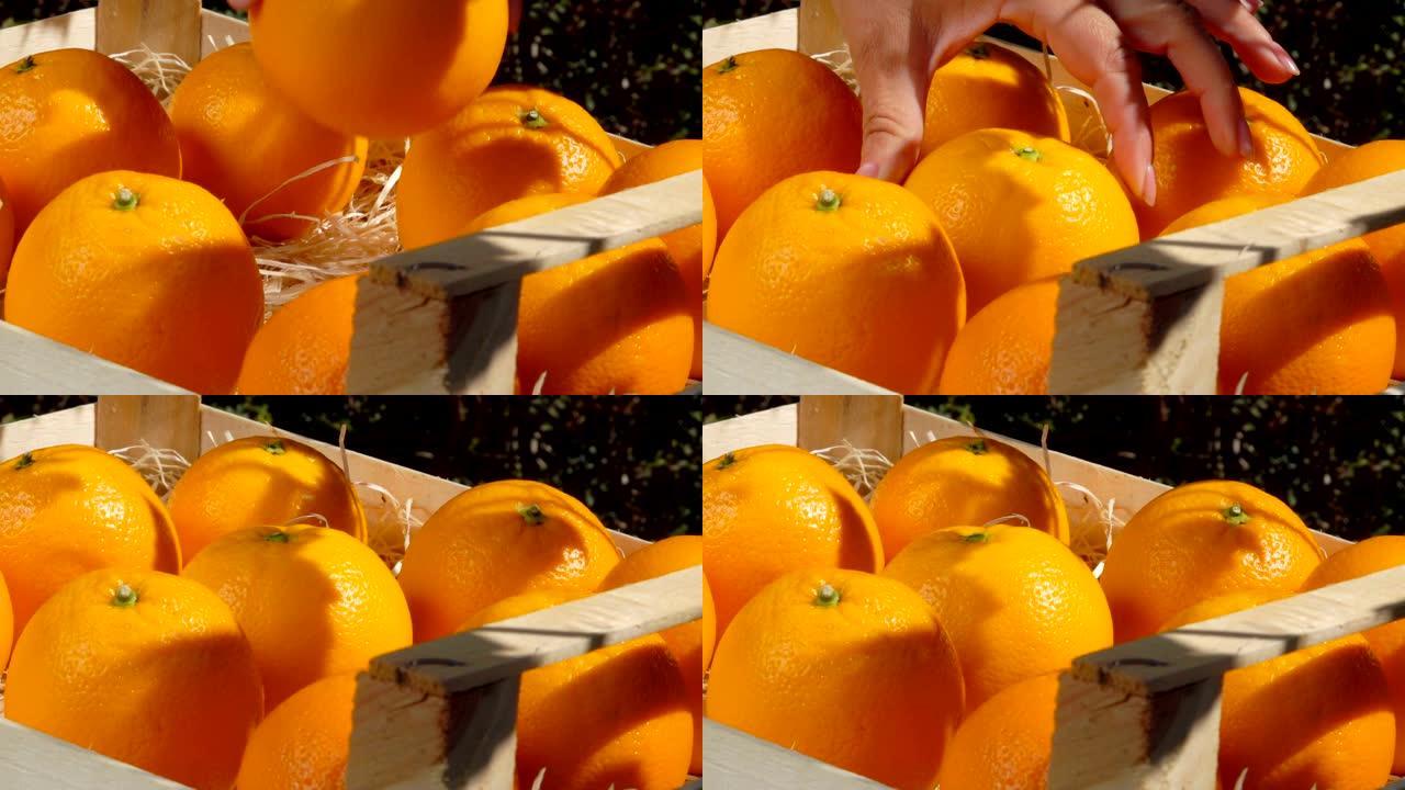 女性手将美味多汁的橘子放入带有刨花的木箱中