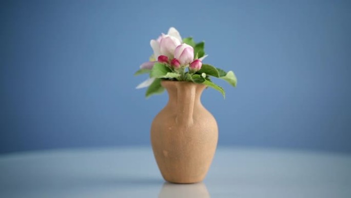 春天粉红色的苹果树花在一个粘土花瓶