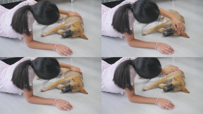 亚洲女孩在家里的地板上玩棕色小狗。