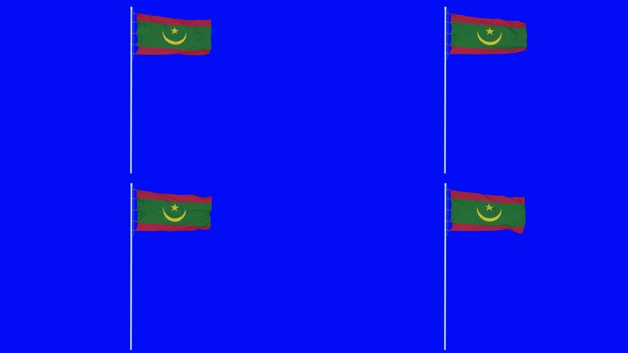 毛里塔尼亚旗迎风飘扬在蓝屏或色度键背景上。4 k的动画