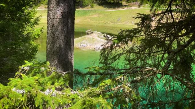 奥地利绿湖的长凳森林美景湖中心林中湖水