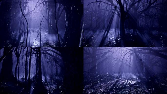 黑暗神秘的迷雾森林。童话般的可怕森林，浓雾中有高大的树木。
