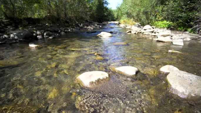 4k景观。大自然之美。山静溪，木中河，如画的石头。