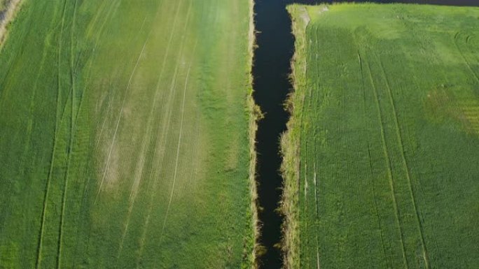 土地改良或土地改良概念，无人机飞越黑麦或麦田上狭窄的灌溉或排水通道。风险农业地区的农业实例。